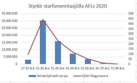 Starfsmenntasjóðir mynd